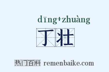 丁壮是什么意思的图片